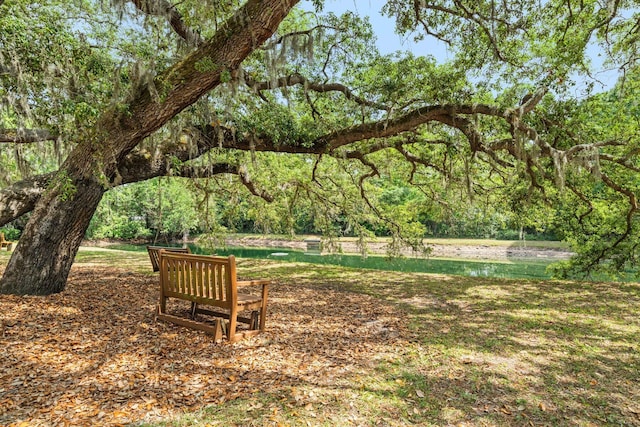 132 Carson Oaks Ln, Santa Rosa Beach, FL 32459 - view of property's community