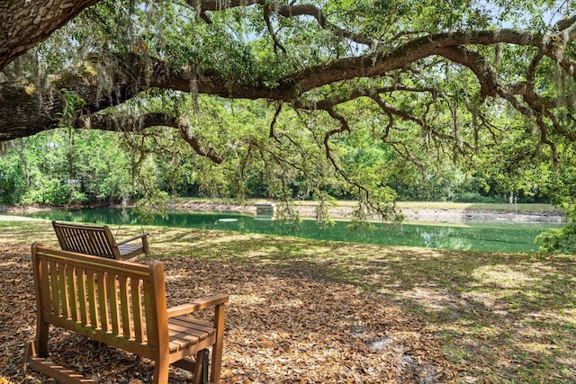 132 Carson Oaks Ln, Santa Rosa Beach, FL 32459 - view of home's community featuring a water view