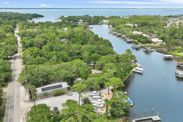 132 Carson Oaks Ln, Santa Rosa Beach, FL 32459 - bird's eye view with a water view