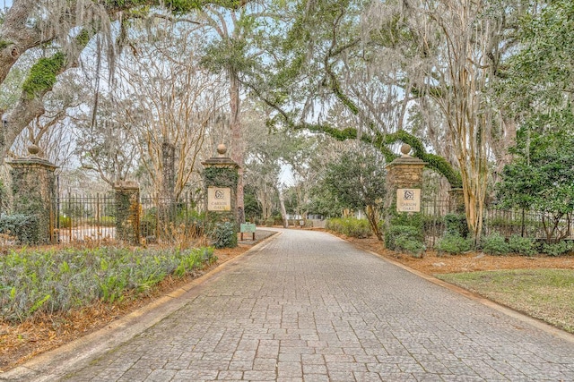 132 Carson Oaks Ln, Santa Rosa Beach, FL 32459 - view of road featuring curbs
