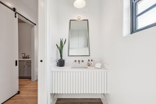 bathroom featuring vanity and wood finished floors