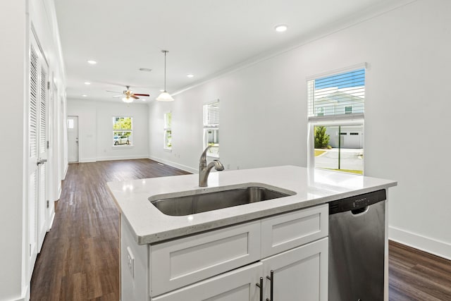 kitchen featuring a sink, stainless steel dishwasher, open floor plan, dark wood-type flooring, and ornamental molding