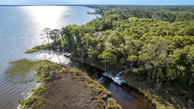 LOT8 Ansley Forest Dr, Santa Rosa Beach, FL 32459