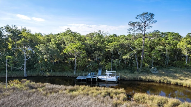 LOT8 Ansley Forest Dr, Santa Rosa Beach, FL 32459