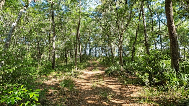 LOT8 Ansley Forest Dr, Santa Rosa Beach, FL 32459