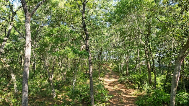 LOT8 Ansley Forest Dr, Santa Rosa Beach, FL 32459
