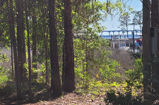 LOT28 Pisces Dr, Santa Rosa Beach, FL 32459 - photo 5