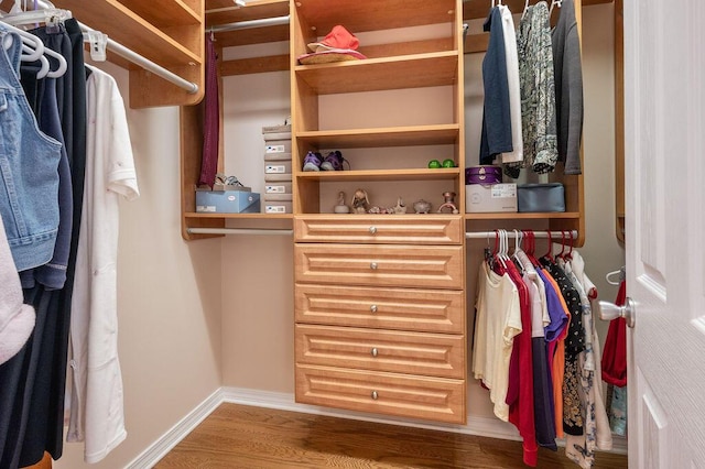 walk in closet featuring wood finished floors