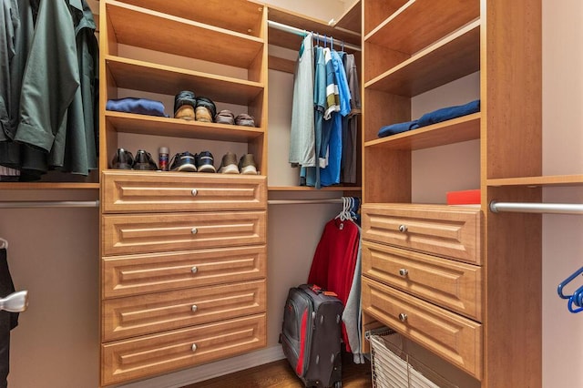 view of spacious closet