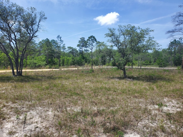 157 Pine Ln, Freeport, FL 32439 - view of nature