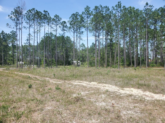 157 Pine Ln, Freeport, FL 32439 - view of wooded area