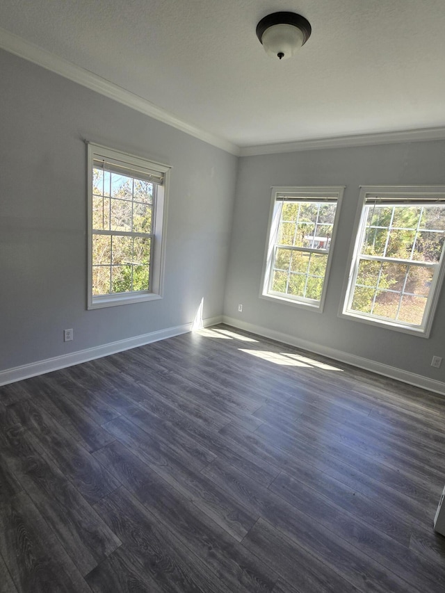 467 N County Highway 395, Santa Rosa Beach, FL 32459 - unfurnished room featuring dark wood finished floors, ornamental molding, and plenty of natural light
