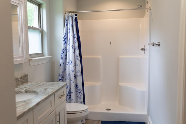 bathroom featuring toilet, a shower with shower curtain, and vanity