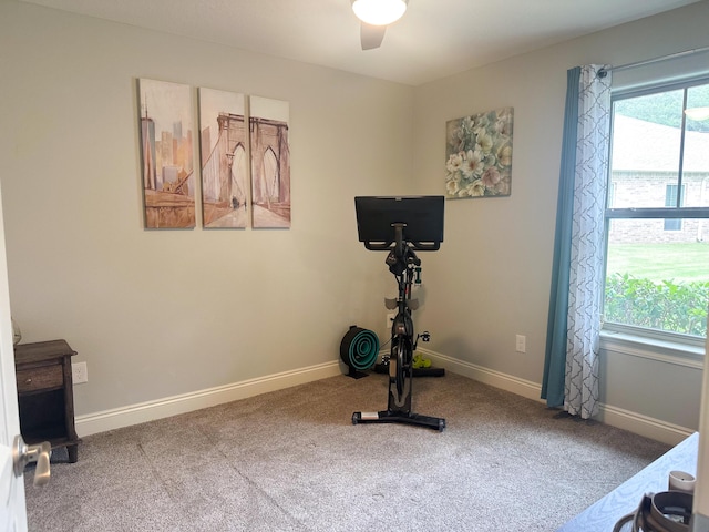 exercise room featuring ceiling fan, baseboards, and carpet