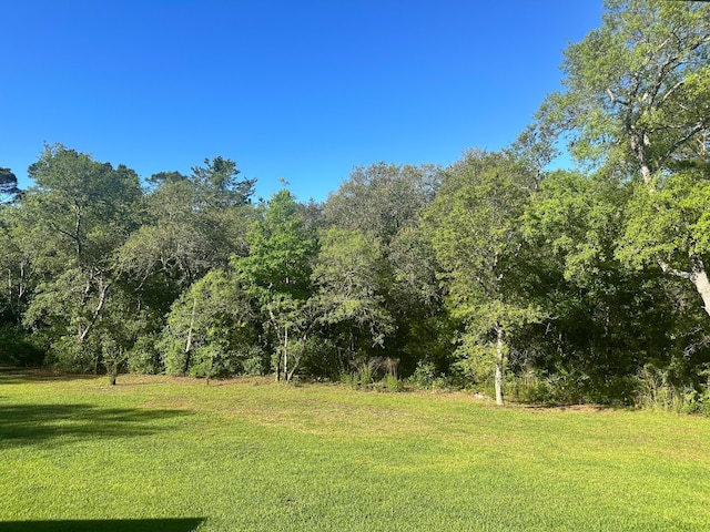view of yard featuring a forest view
