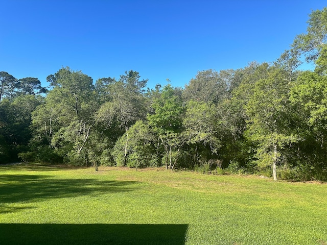 view of yard with a wooded view