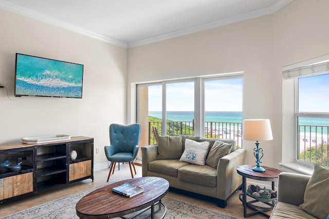 living area featuring crown molding and baseboards