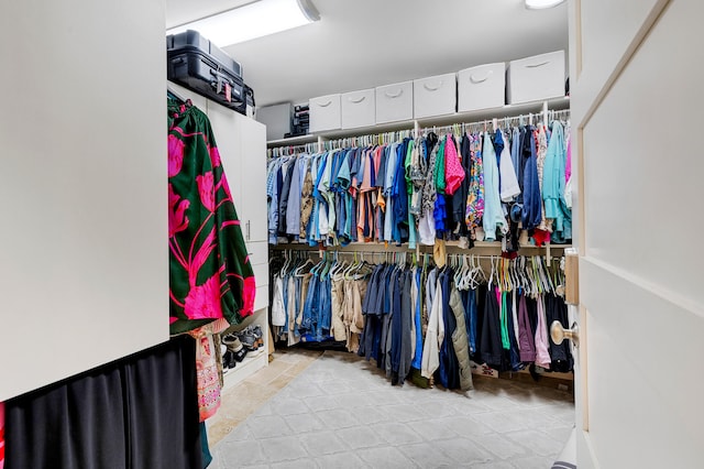 view of spacious closet