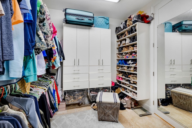 view of spacious closet