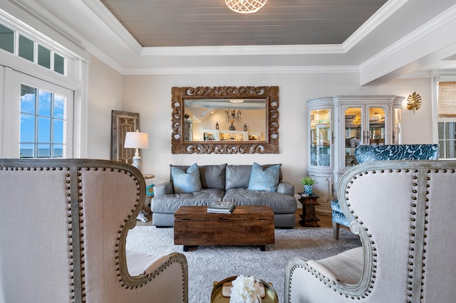 living room featuring crown molding and a raised ceiling
