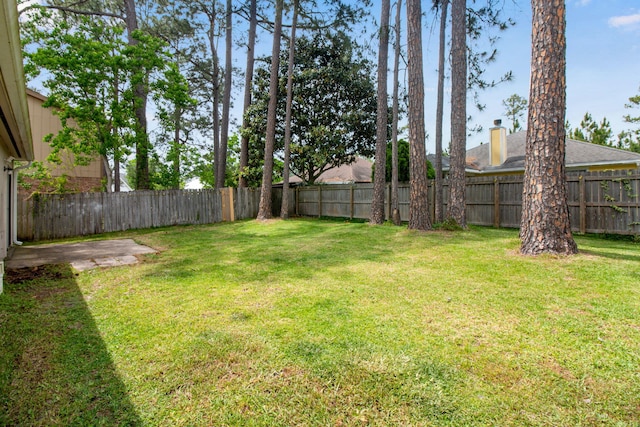 view of yard featuring a fenced backyard