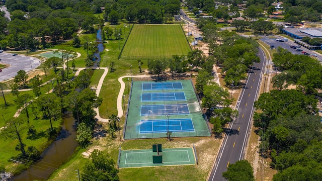 bird's eye view