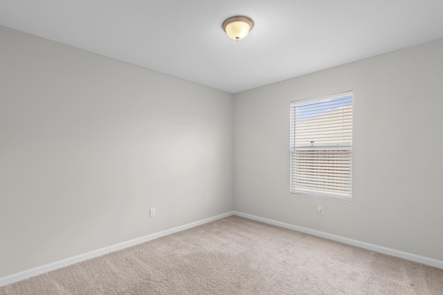 spare room featuring baseboards and carpet flooring