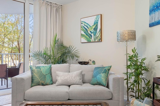 living area with a wealth of natural light