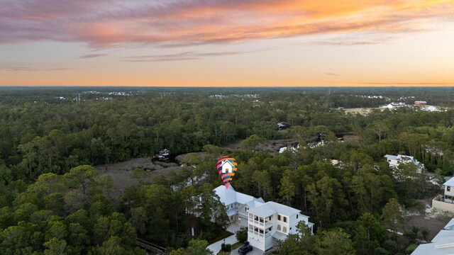380 N Wall St, Inlet Beach, FL 32461 - aerial view at dusk of a forest view