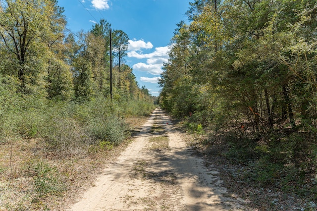 10/-AC Wildwood Lakes Dr, Defuniak Springs, FL 32435