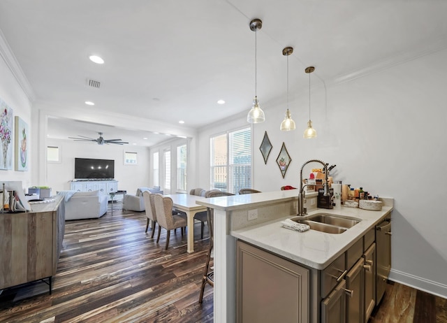 175 Christian Dr, Santa Rosa Beach, FL 32459 - kitchen with crown molding, dark wood-style flooring, open floor plan, and a sink