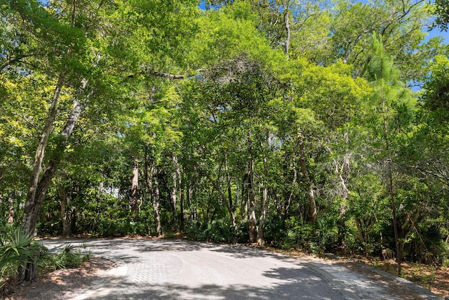 LOT39 Ansley Forest Dr, Santa Rosa Beach, FL 32459