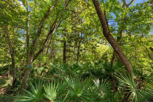 LOT39 Ansley Forest Dr, Santa Rosa Beach, FL 32459