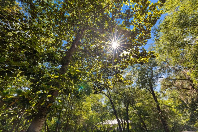 LOT39 Ansley Forest Dr, Santa Rosa Beach, FL 32459