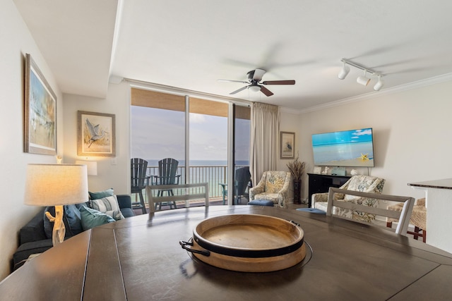 16819 Front Beach Rd Unit 1114, Panama City Beach, FL 32413 - living room featuring a ceiling fan, track lighting, expansive windows, and crown molding