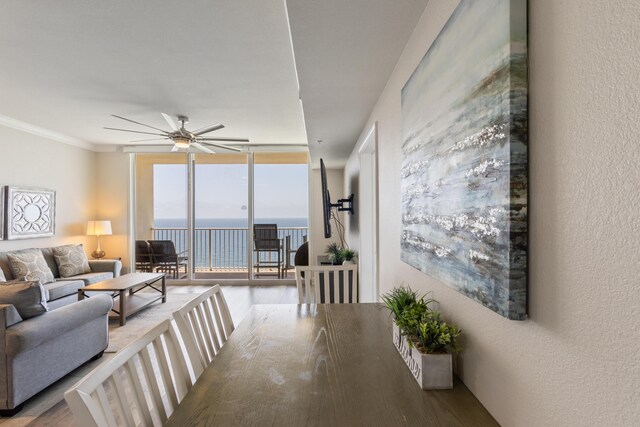 16819 Front Beach Rd Unit 2415, Panama City Beach, FL 32413 - living area featuring a ceiling fan, floor to ceiling windows, a water view, wood finished floors, and ornamental molding