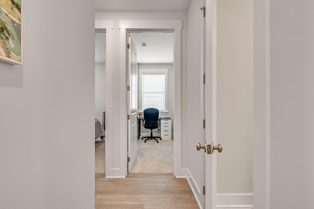 2108 Royal Tern St, Panama City, FL 32405 - hallway featuring light wood-style flooring