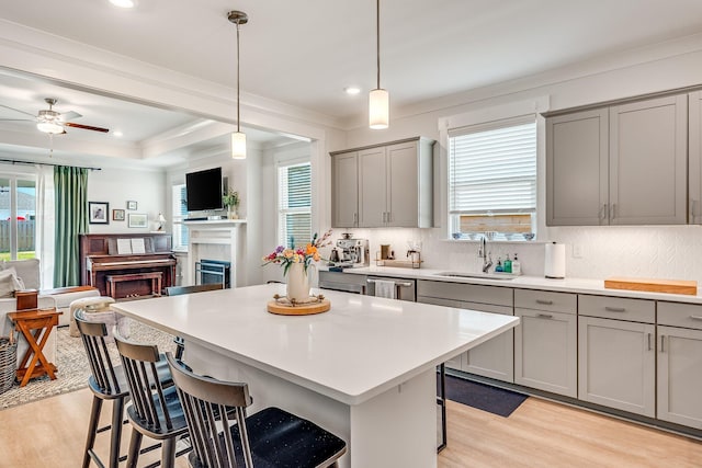 2108 Royal Tern St, Panama City, FL 32405 - kitchen featuring open floor plan, a breakfast bar area, light wood-type flooring, gray cabinets, and a sink