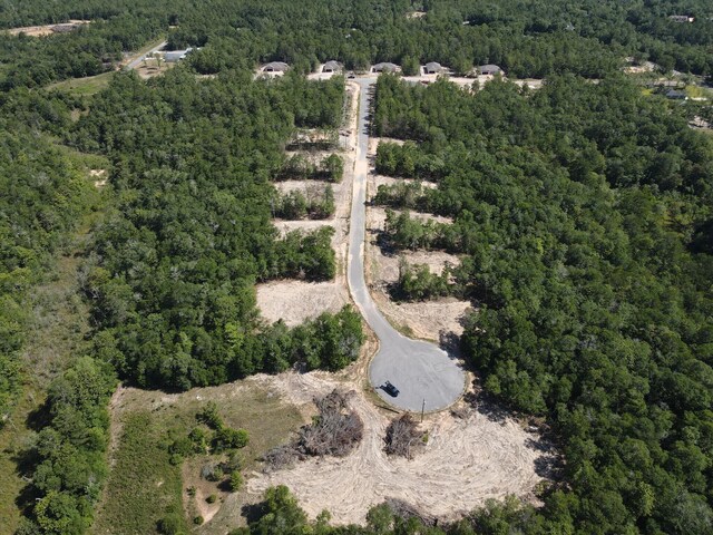LOT7 Black Bear Ct, Defuniak Springs, FL 32435