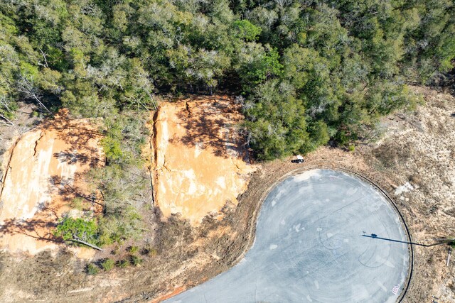 LOT7 Black Bear Ct, Defuniak Springs, FL 32435