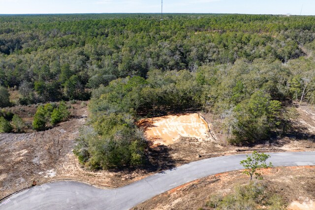 LOT7 Black Bear Ct, Defuniak Springs, FL 32435