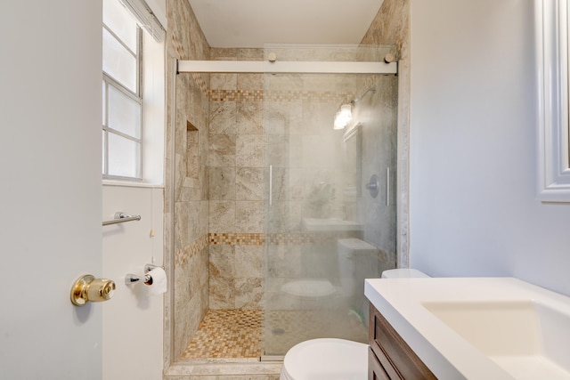 bathroom featuring vanity, toilet, and a shower stall