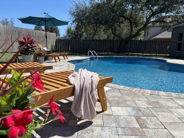 view of pool with a fenced backyard, a patio area, and a fenced in pool