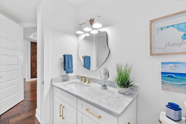 bathroom featuring wood finished floors and vanity