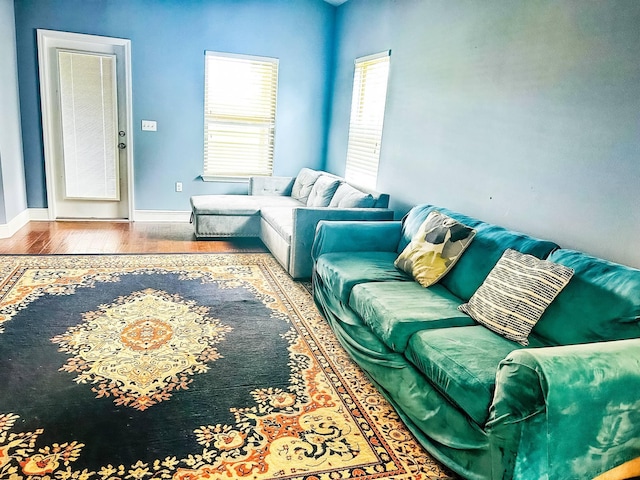 897 Cocobolo Dr, Santa Rosa Beach, FL 32459 - living room with wood finished floors and baseboards