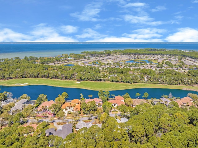 2932 Pine Valley Dr, Miramar Beach, FL 32550 - photo 61