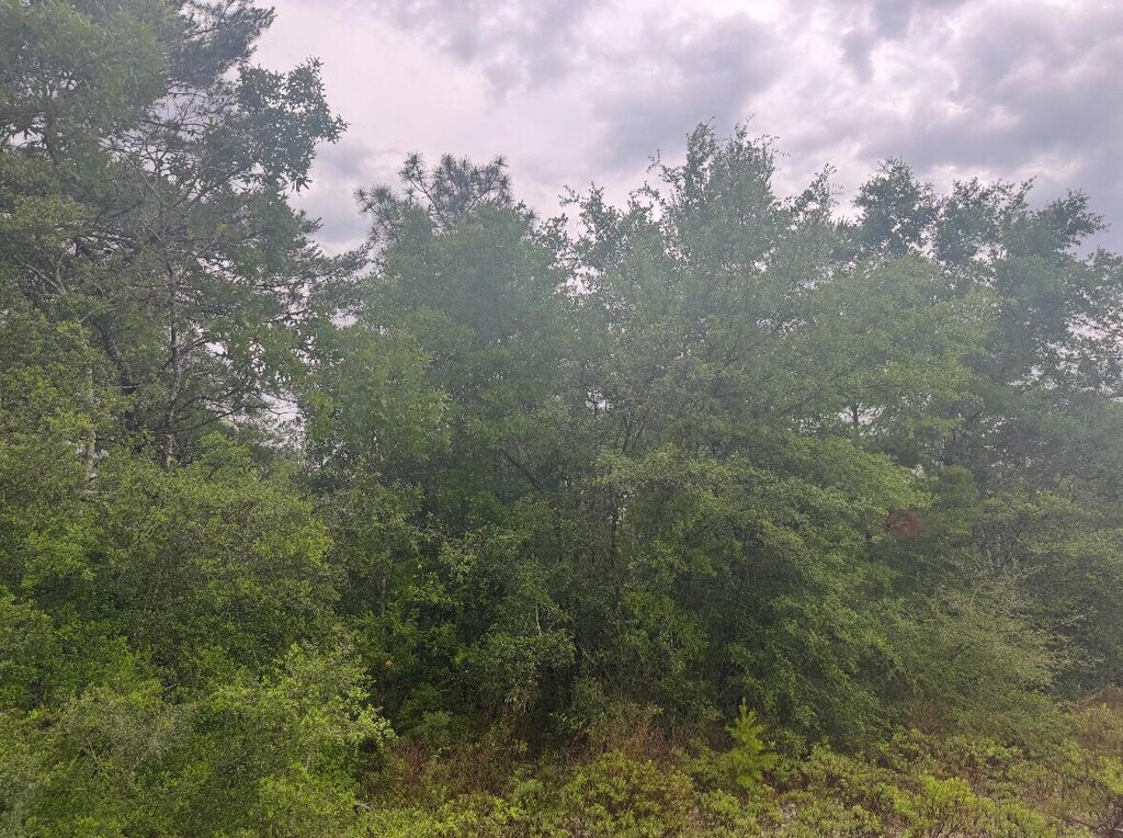 LOT5 Round Table Rd, Defuniak Springs, FL 32433