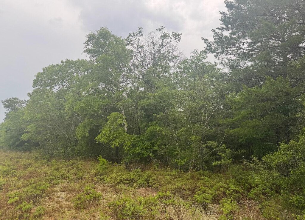 LOT5 Round Table Rd, Defuniak Springs, FL 32433