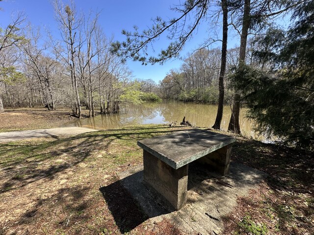 LOT1 Coon Bottom Ests, Ponce De Leon, FL 32455 - photo 5