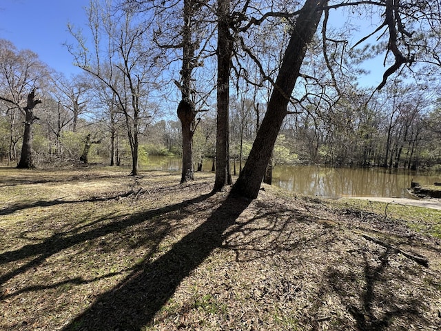 LOT1 Coon Bottom Ests, Ponce De Leon, FL 32455 - photo 2